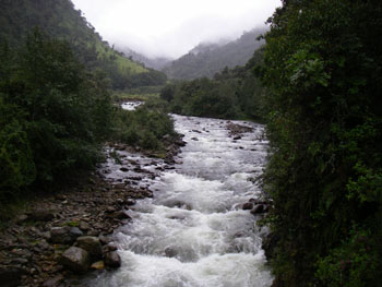 Valley bottom near Guango Lodge - Torrent Duck were seen here